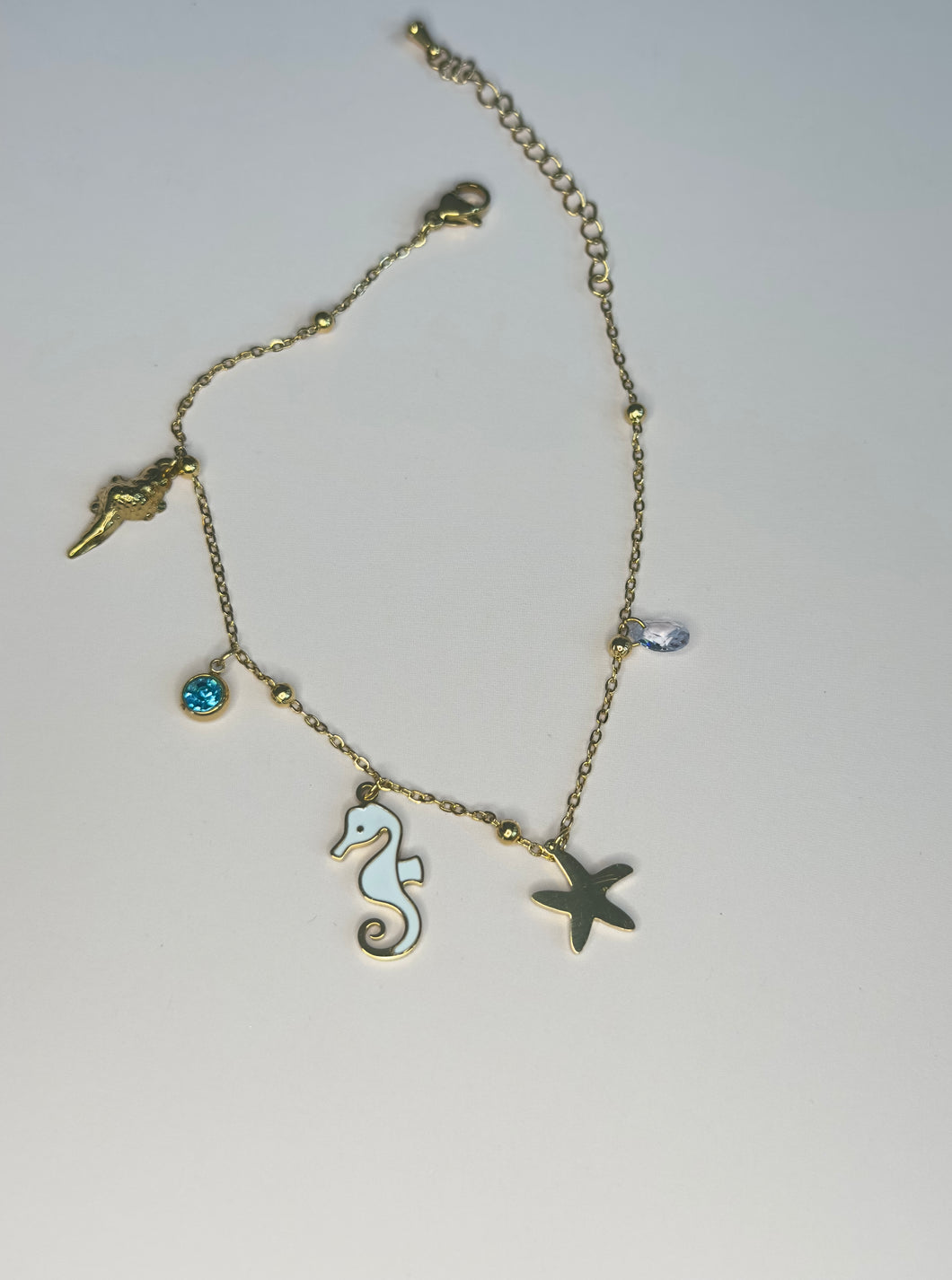 Caballito de Mar