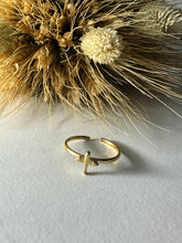 Load image into Gallery viewer, Sky
